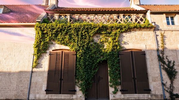Top conseils pour réussir votre investissement immobilier à La Rochelle